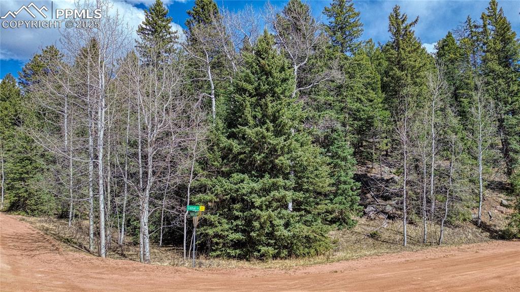 3075 N Mountain Estates Road Florissant CO 80816