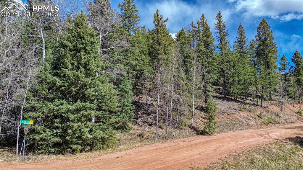 3075 N Mountain Estates Road Florissant CO 80816