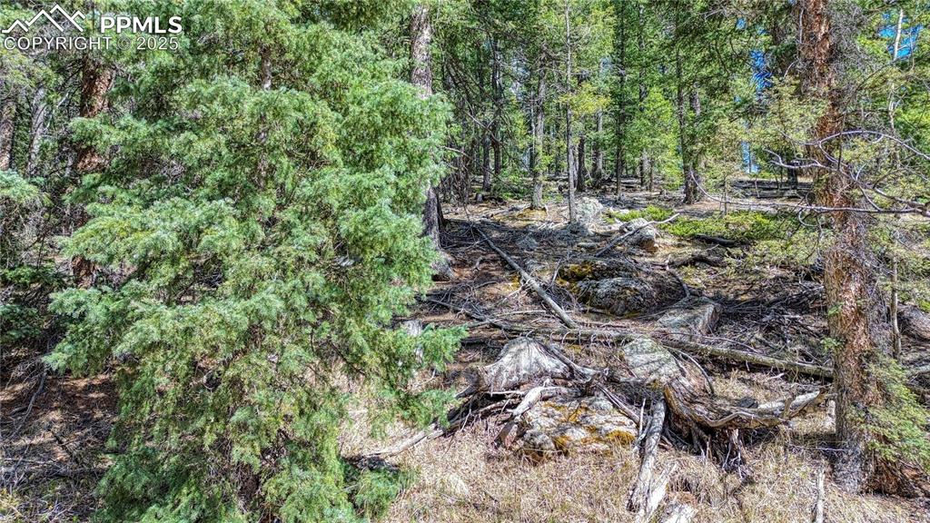 3075 N Mountain Estates Road Florissant CO 80816