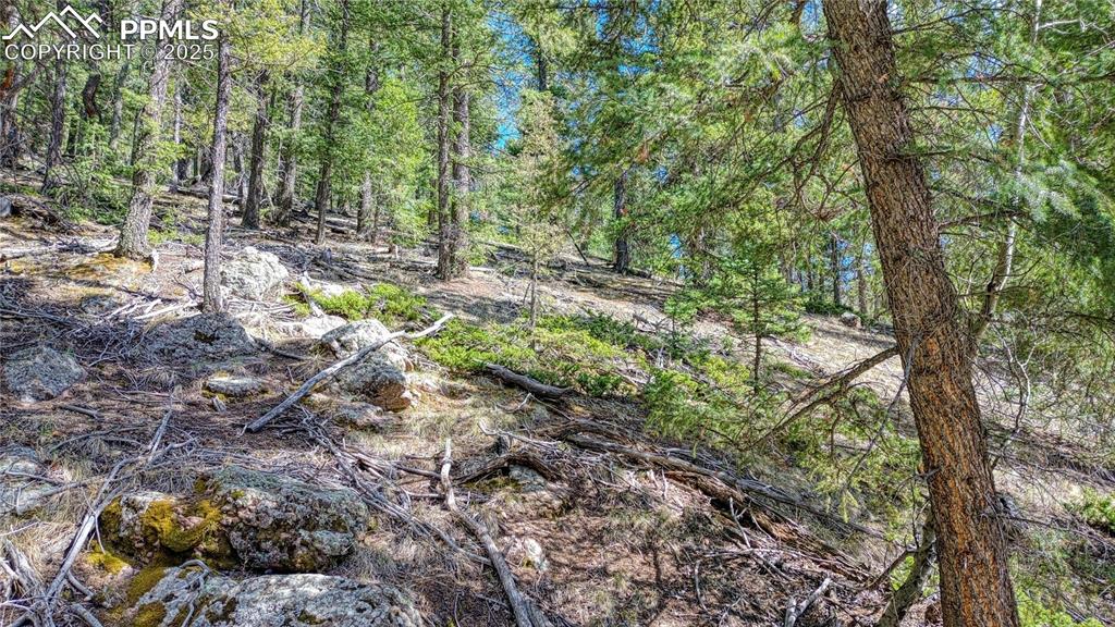 3075 N Mountain Estates Road Florissant CO 80816