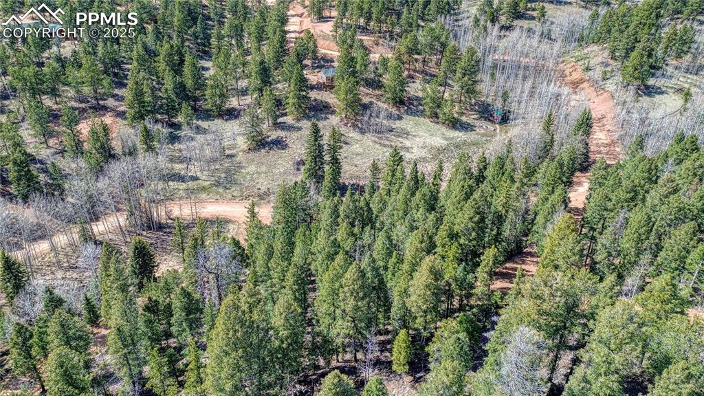 3075 N Mountain Estates Road Florissant CO 80816
