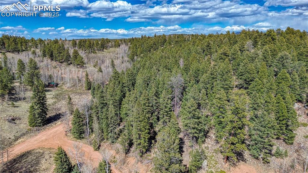 3075 N Mountain Estates Road Florissant CO 80816
