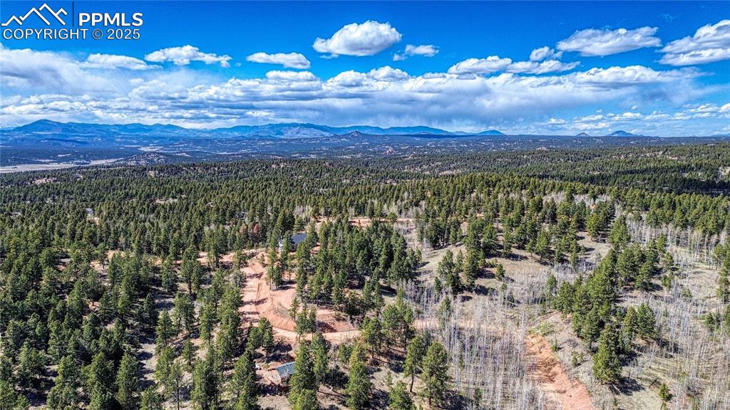 3075 N Mountain Estates Road Florissant CO 80816