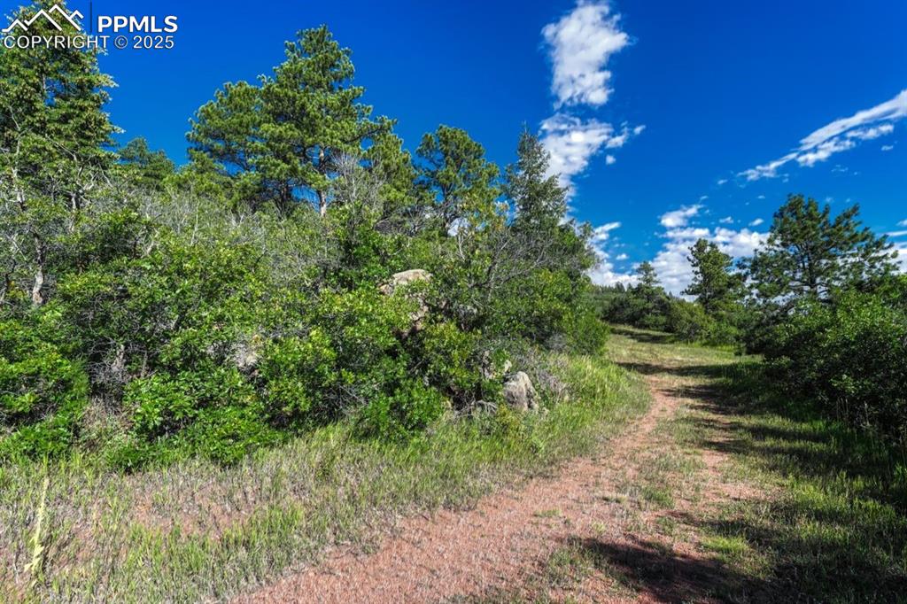 00 Columbine Road Larkspur CO 80118