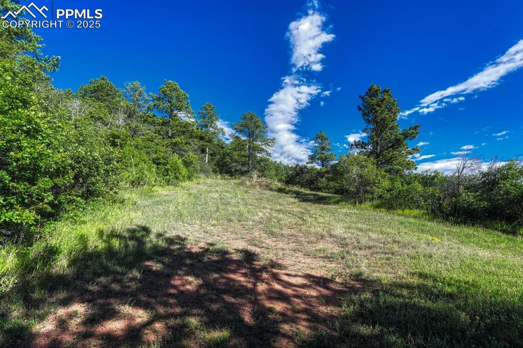 00 Columbine Road Larkspur CO 80118