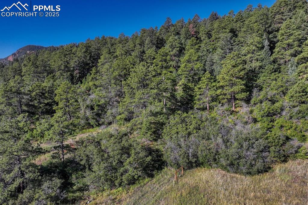 00 Columbine Road Larkspur CO 80118