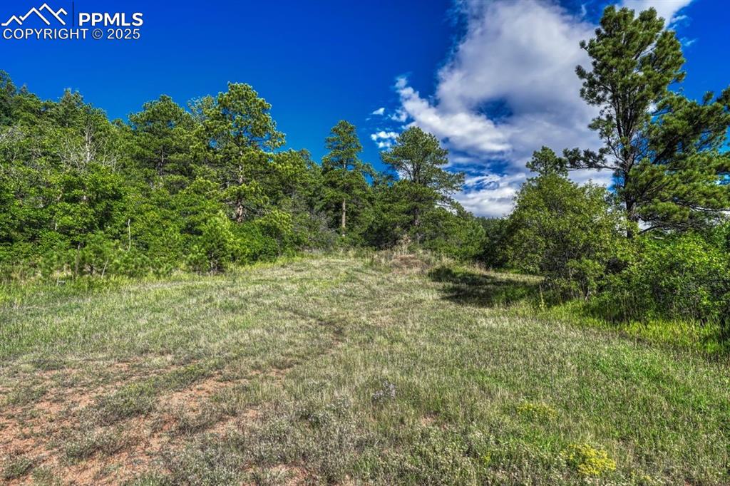00 Columbine Road Larkspur CO 80118
