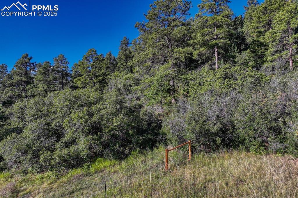 00 Columbine Road Larkspur CO 80118