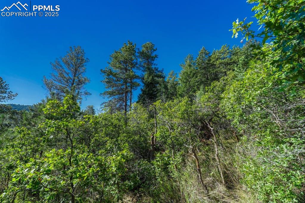 00 Columbine Road Larkspur CO 80118