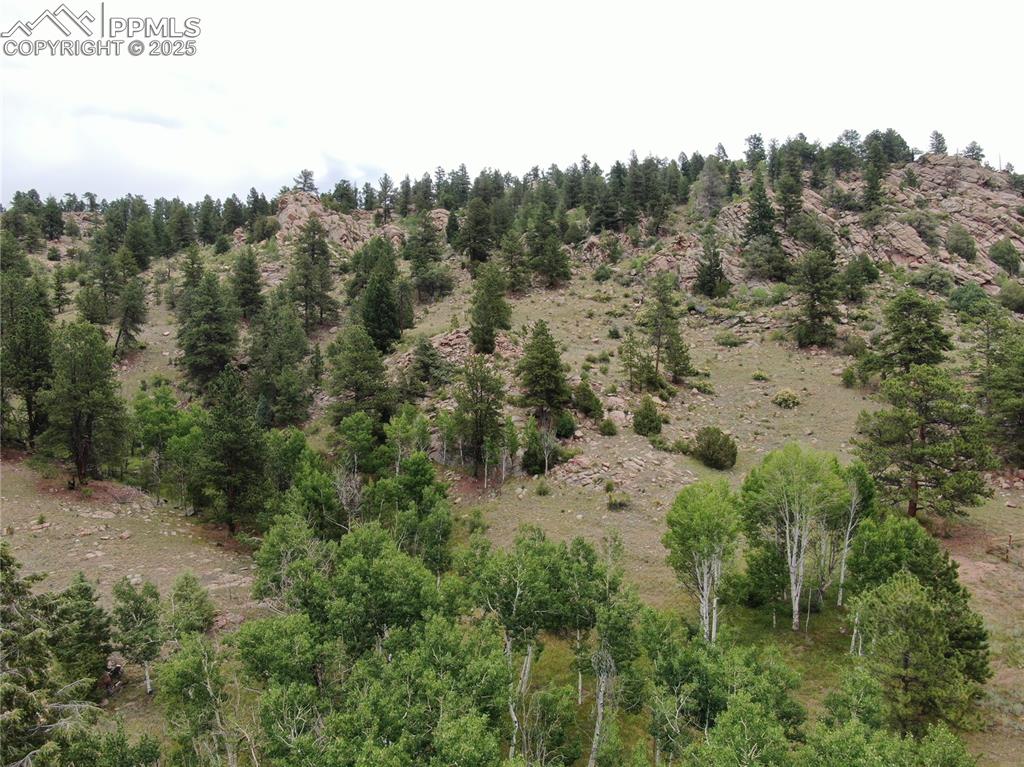 76 Crocus Circle Florissant CO 80816
