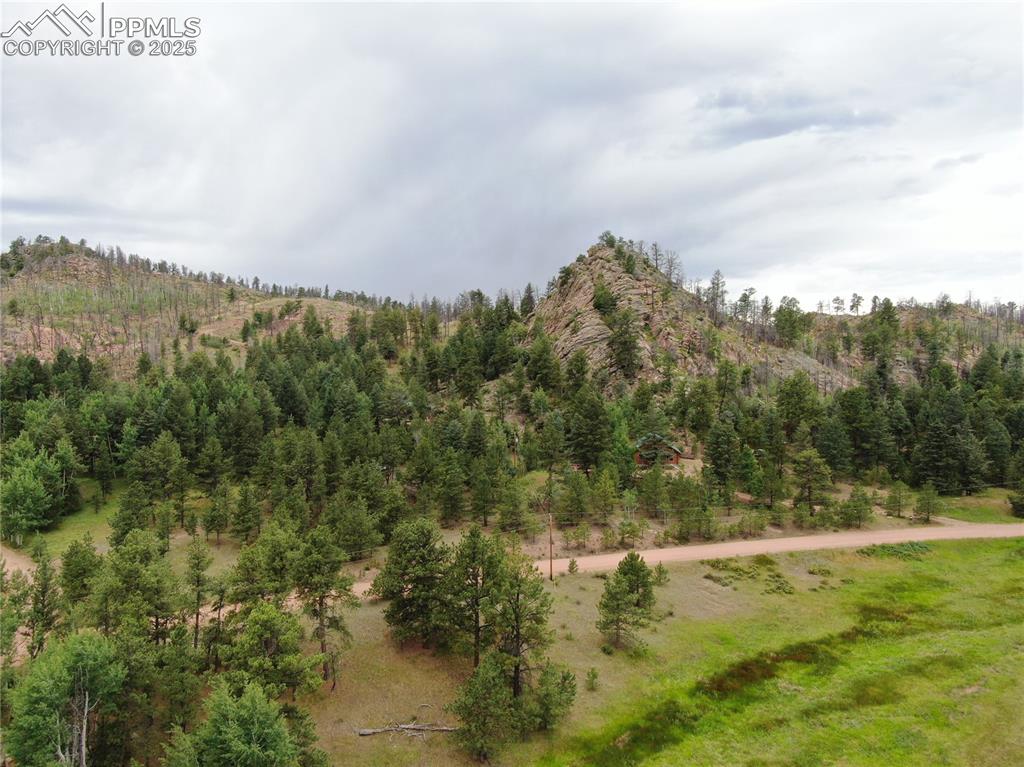 76 Crocus Circle Florissant CO 80816