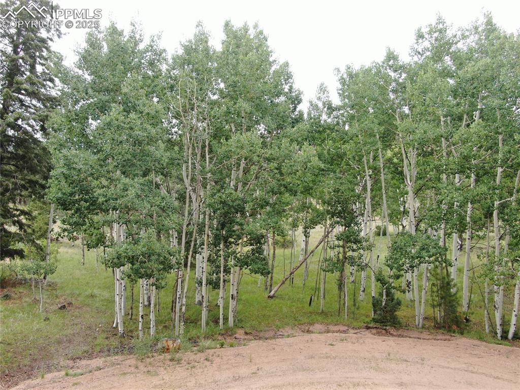 76 Crocus Circle Florissant CO 80816