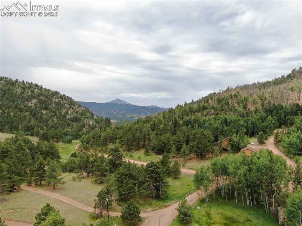 76 Crocus Circle Florissant CO 80816