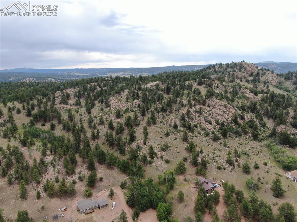 76 Crocus Circle Florissant CO 80816