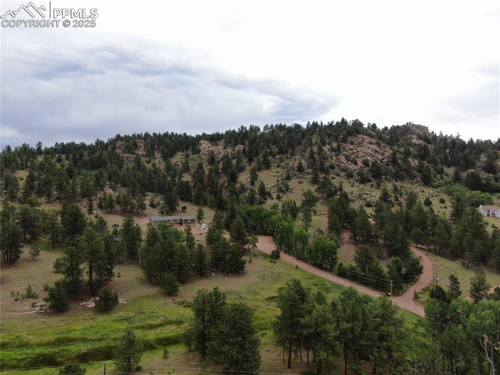 76 Crocus Circle Florissant CO 80816
