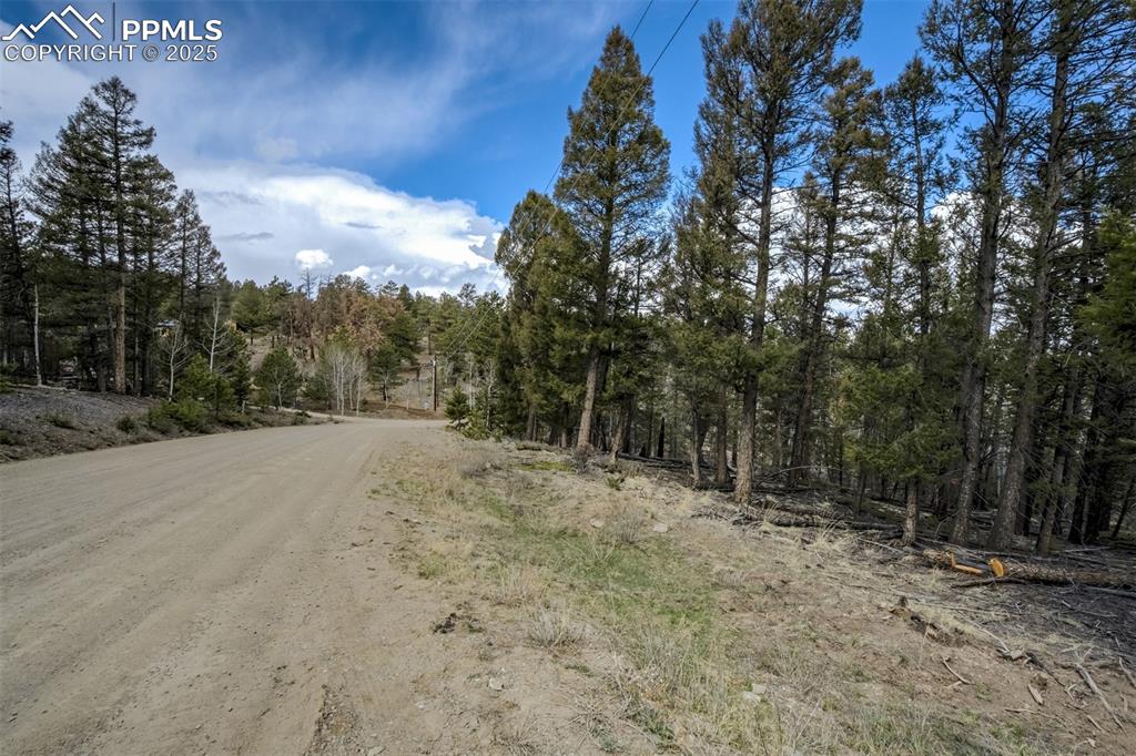 1430 Singletree Road Hartsel CO 80449