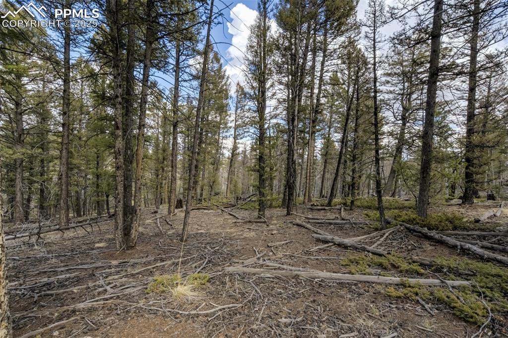1430 Singletree Road Hartsel CO 80449