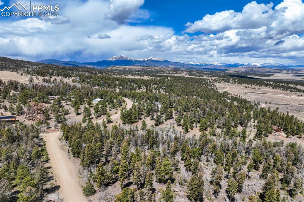 1430 Singletree Road Hartsel CO 80449