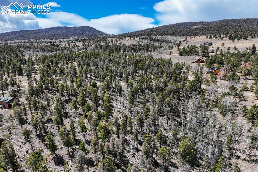 1430 Singletree Road Hartsel CO 80449