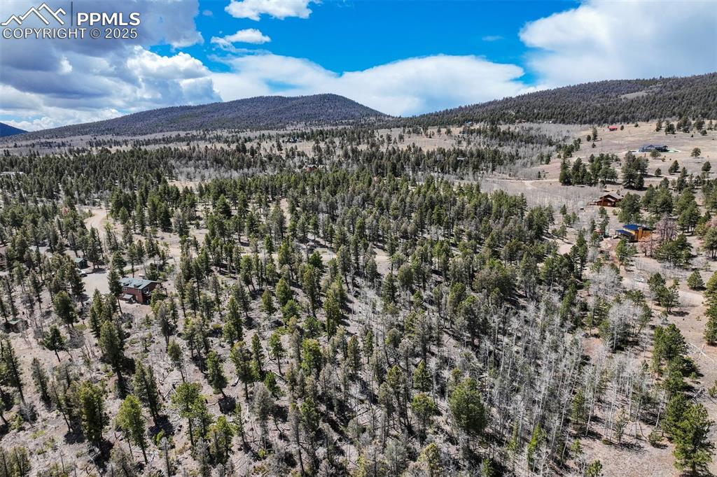 1430 Singletree Road Hartsel CO 80449