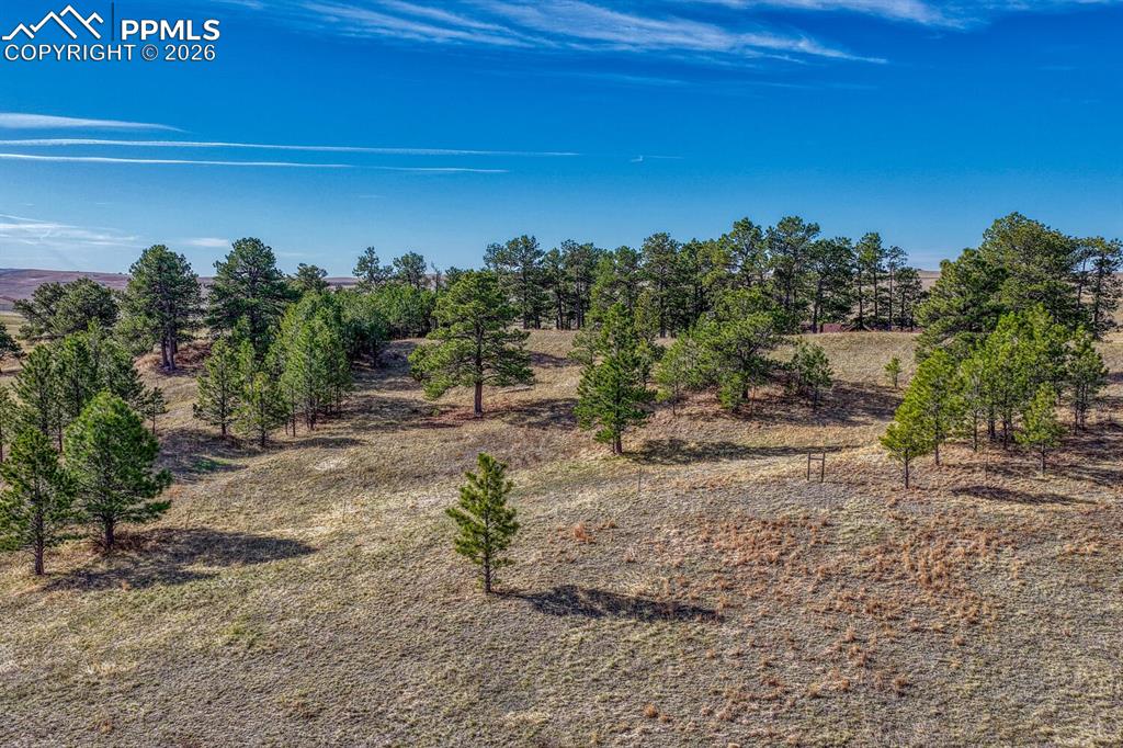 17265 Warriors Path Drive Peyton CO 80831