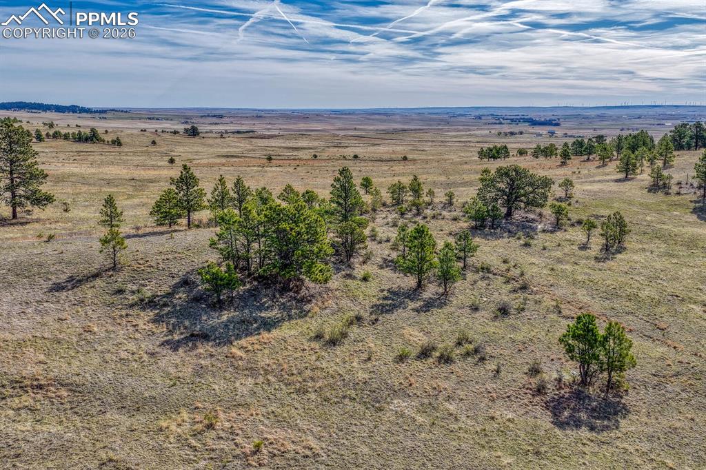 17265 Warriors Path Drive Peyton CO 80831