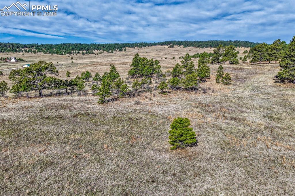 17265 Warriors Path Drive Peyton CO 80831