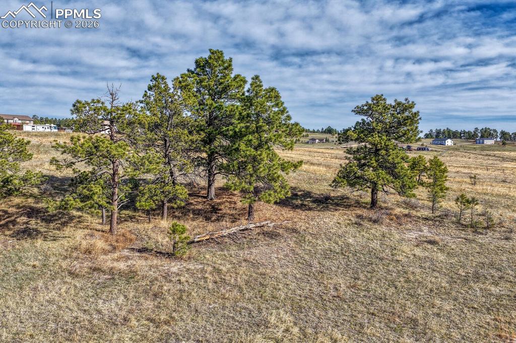 17265 Warriors Path Drive Peyton CO 80831