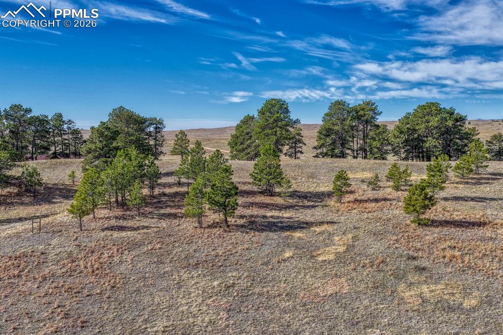 17265 Warriors Path Drive Peyton CO 80831