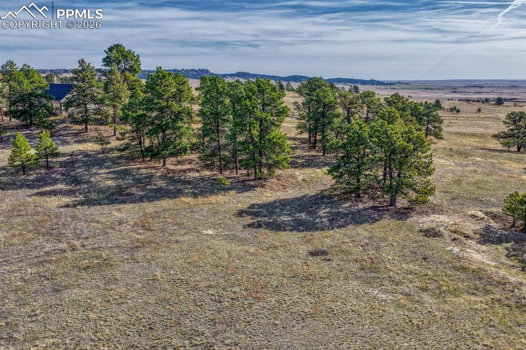 17265 Warriors Path Drive Peyton CO 80831