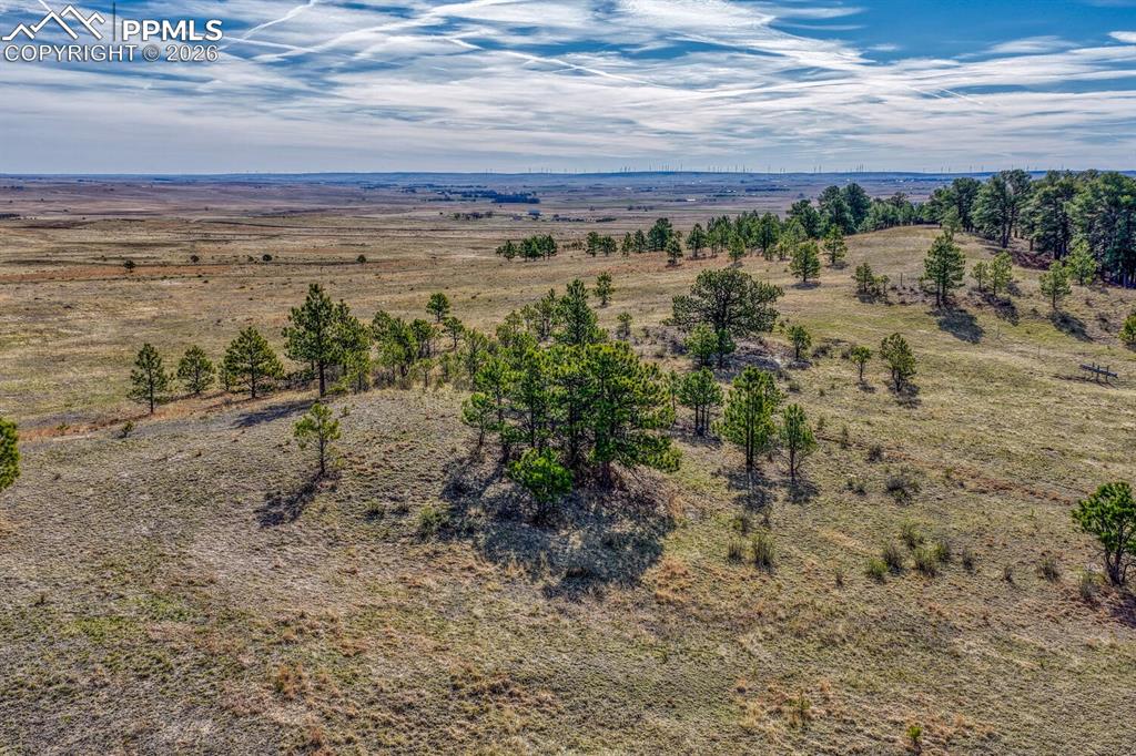 17265 Warriors Path Drive Peyton CO 80831