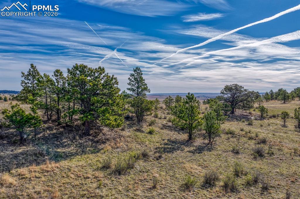 17265 Warriors Path Drive Peyton CO 80831