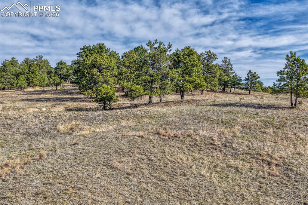 17265 Warriors Path Drive Peyton CO 80831