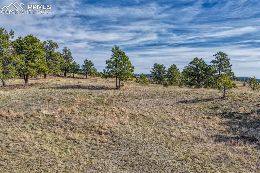 17265 Warriors Path Drive Peyton CO 80831