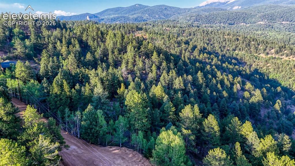 364 Blue Spruce Road Divide CO 80814