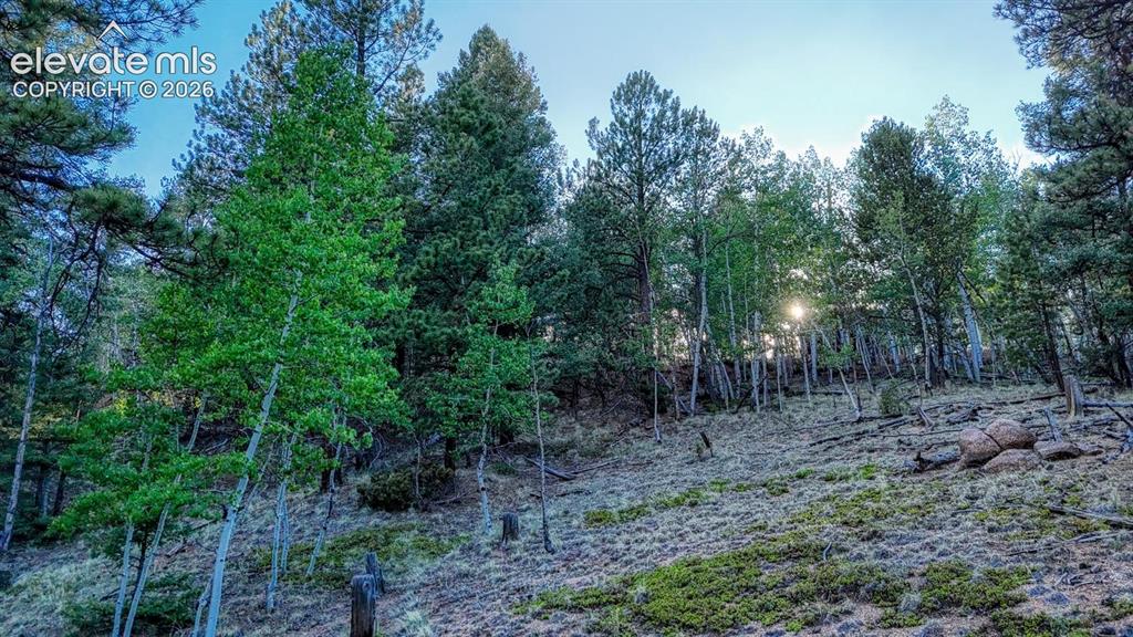 364 Blue Spruce Road Divide CO 80814
