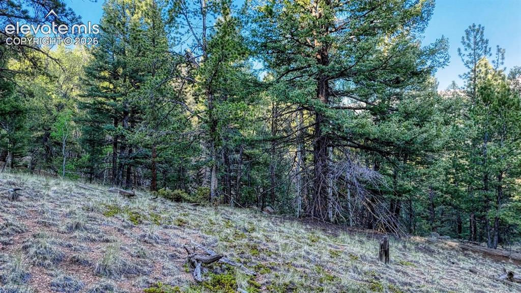 364 Blue Spruce Road Divide CO 80814