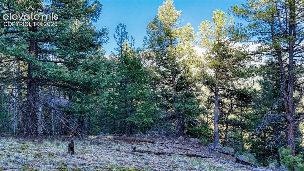 364 Blue Spruce Road Divide CO 80814