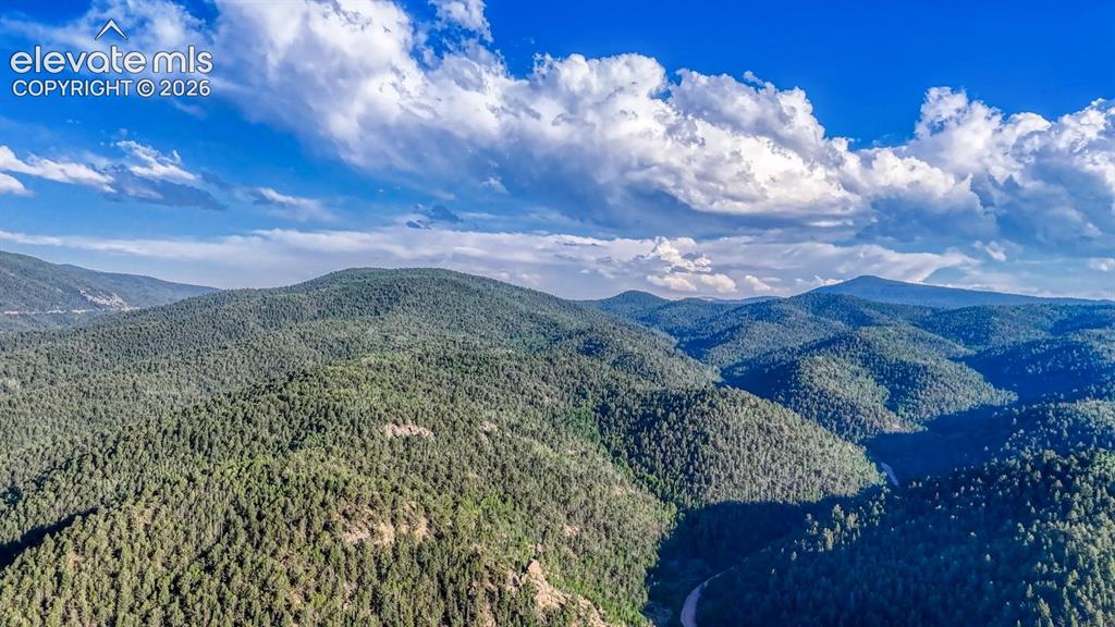364 Blue Spruce Road Divide CO 80814