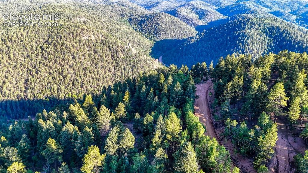 364 Blue Spruce Road Divide CO 80814