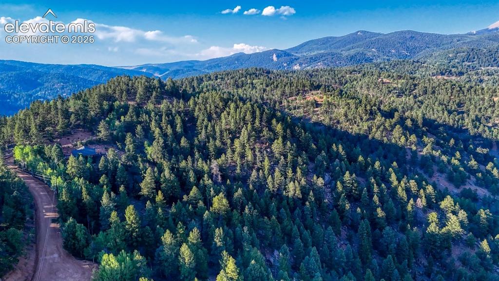 364 Blue Spruce Road Divide CO 80814