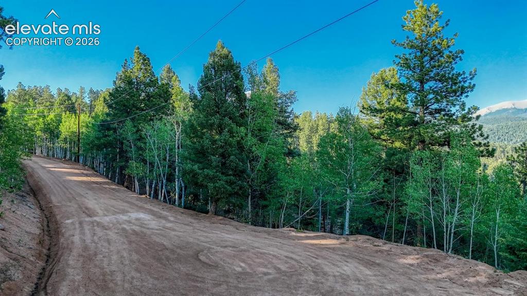 364 Blue Spruce Road Divide CO 80814
