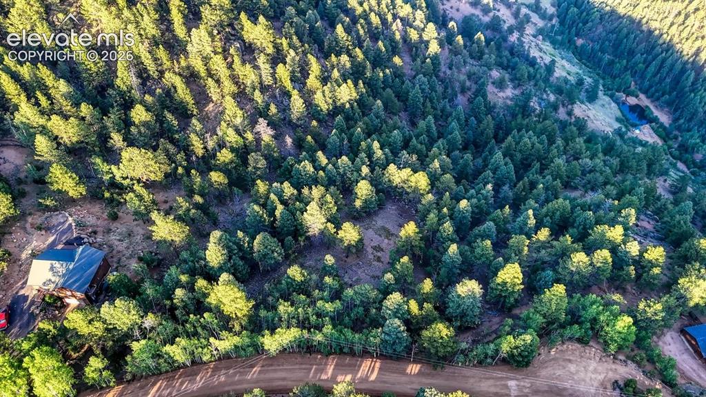 364 Blue Spruce Road Divide CO 80814