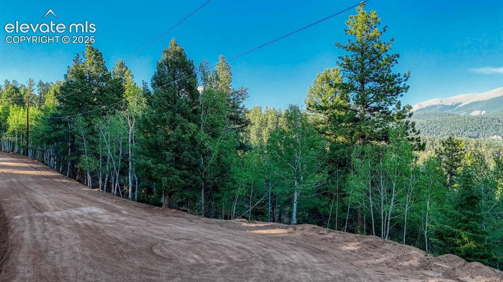 364 Blue Spruce Road Divide CO 80814