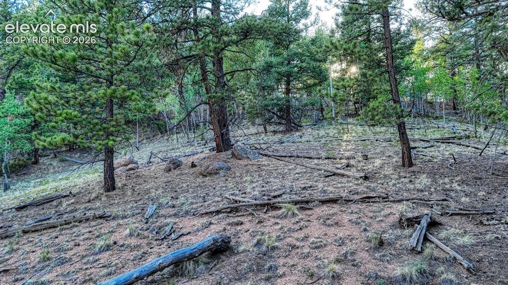 364 Blue Spruce Road Divide CO 80814