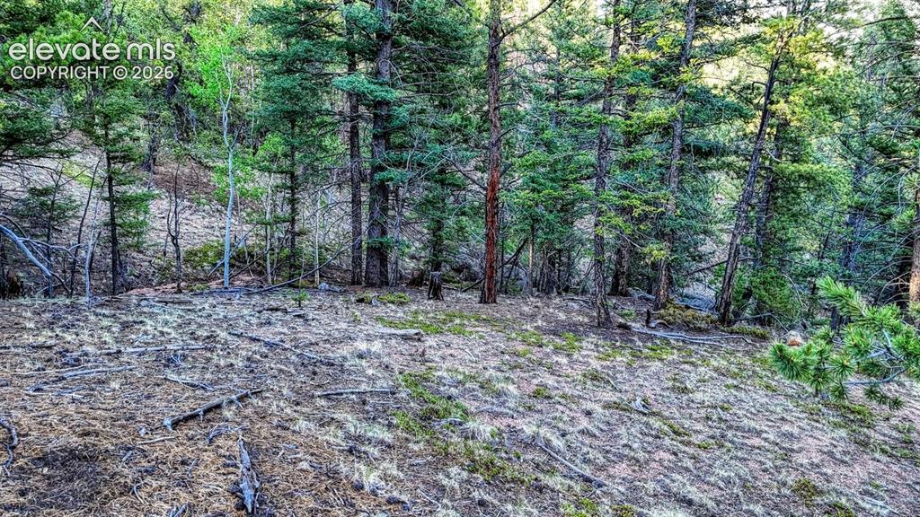 364 Blue Spruce Road Divide CO 80814