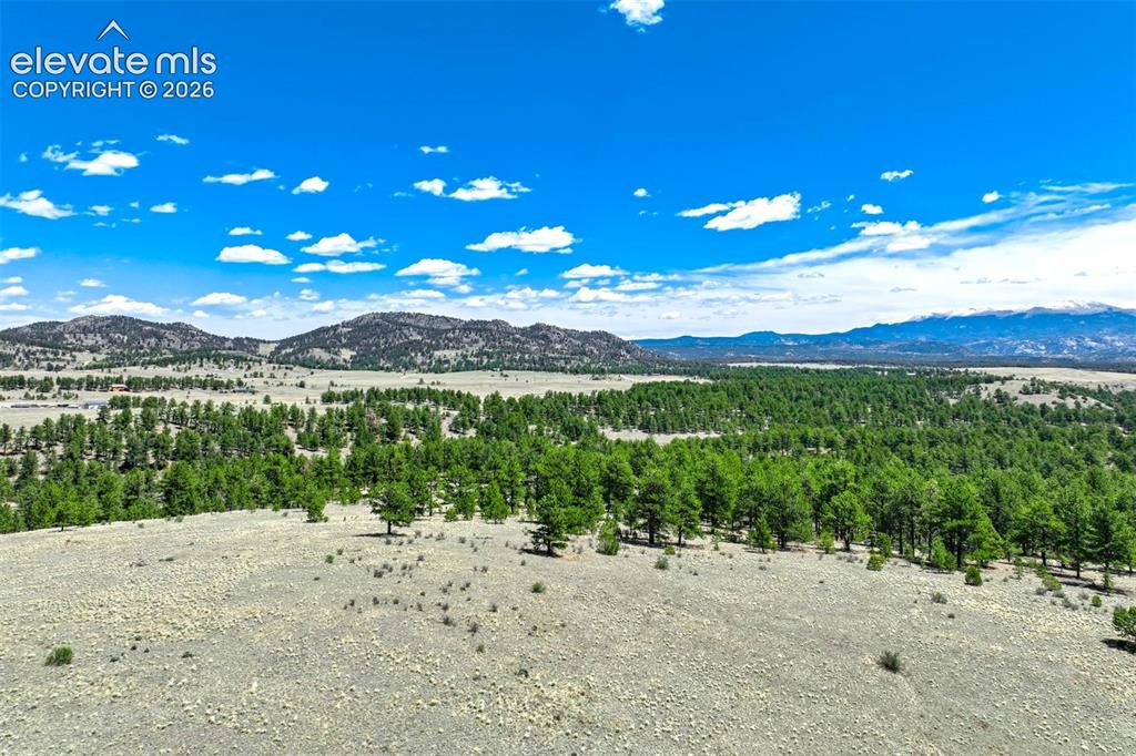 00 Roan Trail Guffey CO 80820