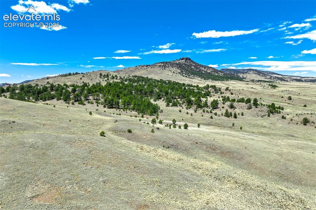 00 Roan Trail Guffey CO 80820