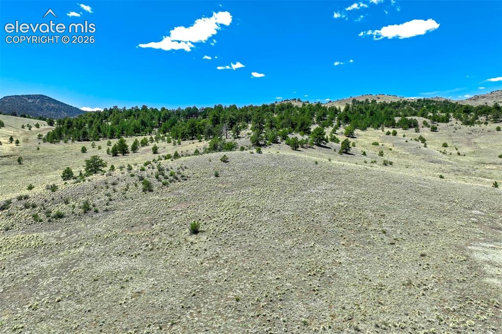 00 Roan Trail Guffey CO 80820