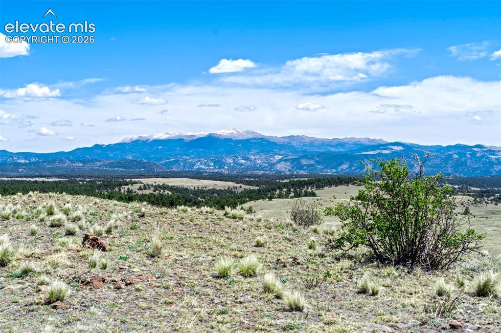 00 Roan Trail Guffey CO 80820